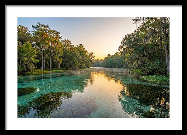 Ichetucknee River Serenity