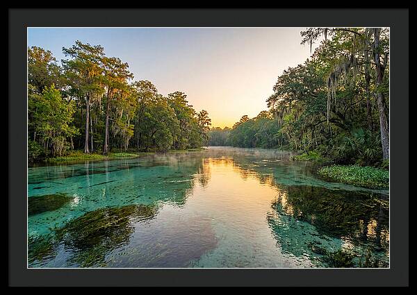 Ichetucknee River Serenity