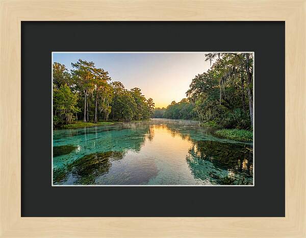 Ichetucknee River Serenity