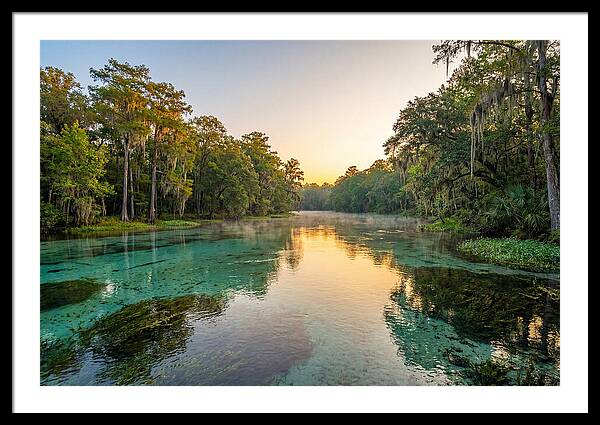 Ichetucknee River Serenity