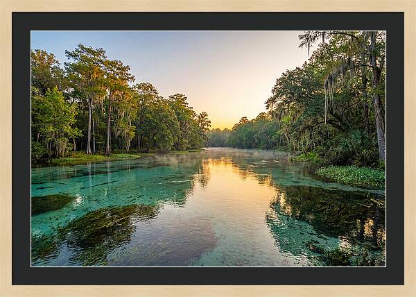 Ichetucknee River Serenity