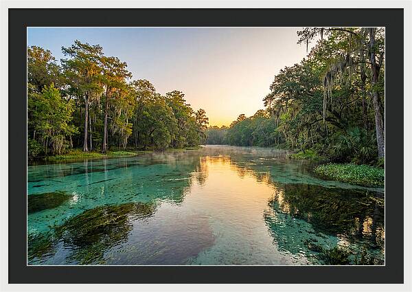 Ichetucknee River Serenity