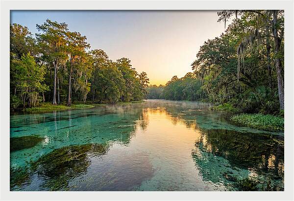 Ichetucknee River Serenity