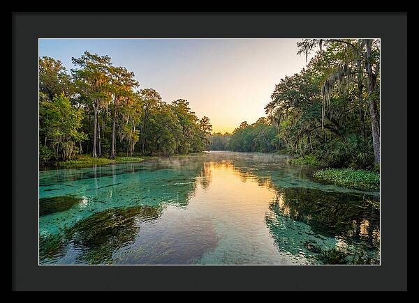 Ichetucknee River Serenity