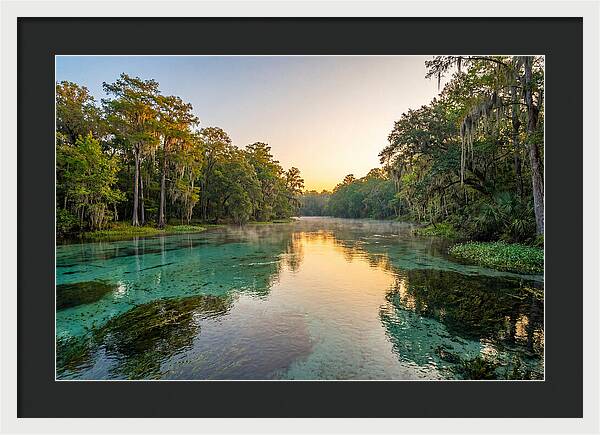 Ichetucknee River Serenity