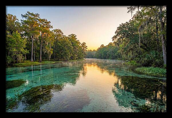 Ichetucknee River Serenity