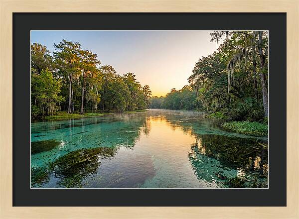 Ichetucknee River Serenity