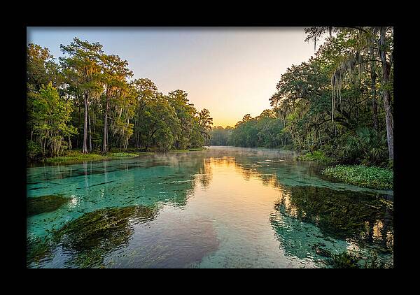 Ichetucknee River Serenity