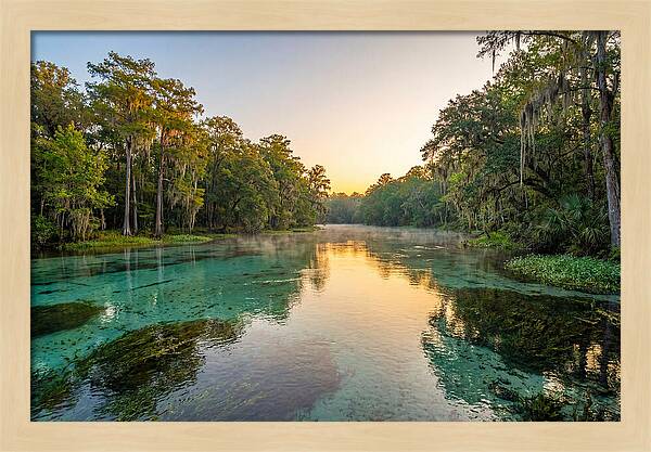 Ichetucknee River Serenity