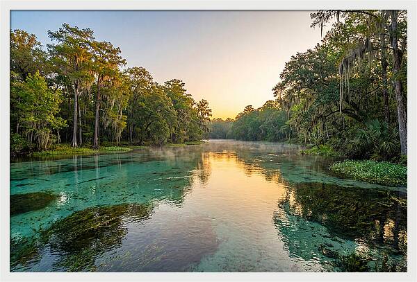 Ichetucknee River Serenity