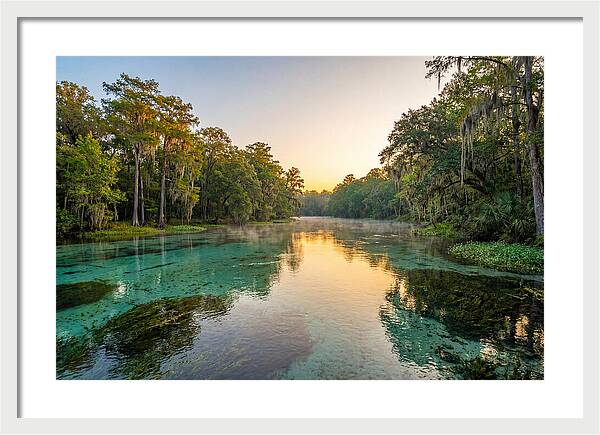 Ichetucknee River Serenity