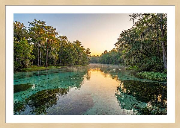 Ichetucknee River Serenity