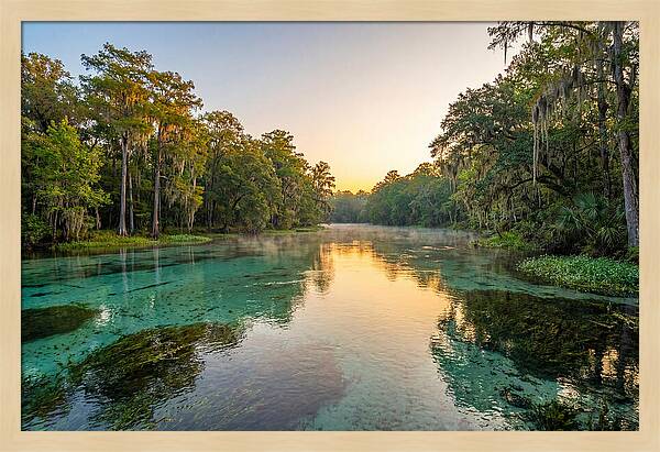Ichetucknee River Serenity