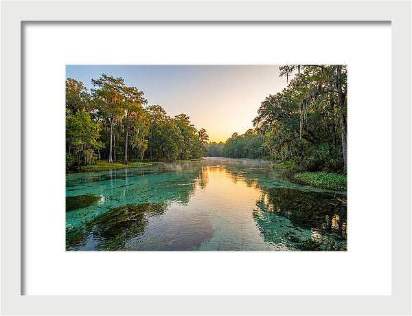 Ichetucknee River Serenity