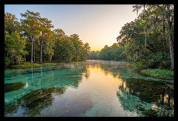 Ichetucknee River Serenity