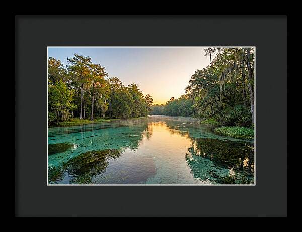 Ichetucknee River Serenity