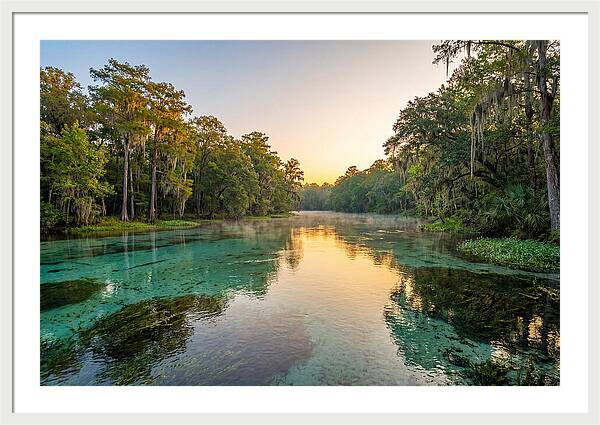Ichetucknee River Serenity