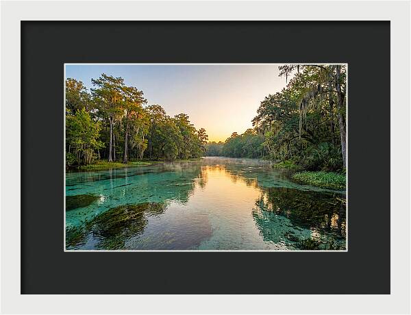 Ichetucknee River Serenity