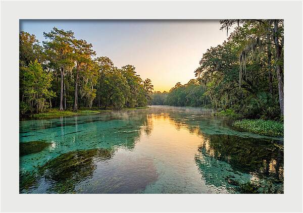 Ichetucknee River Serenity