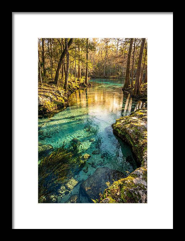Ichetucknee Springs Serenity