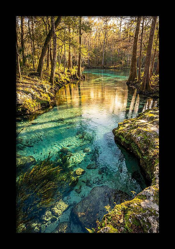 Ichetucknee Springs Serenity