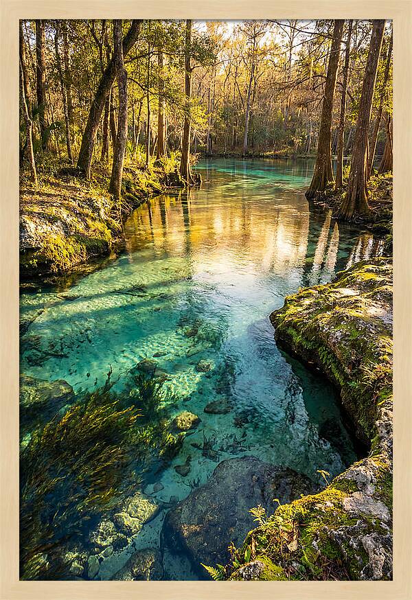 Ichetucknee Springs Serenity