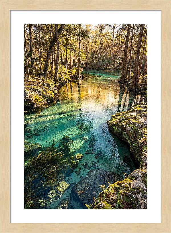 Ichetucknee Springs Serenity