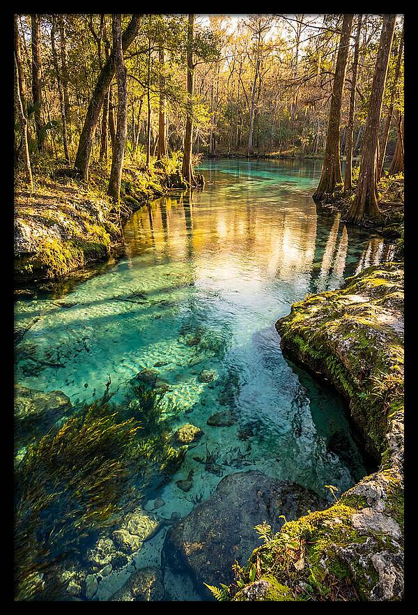 Ichetucknee Springs Serenity