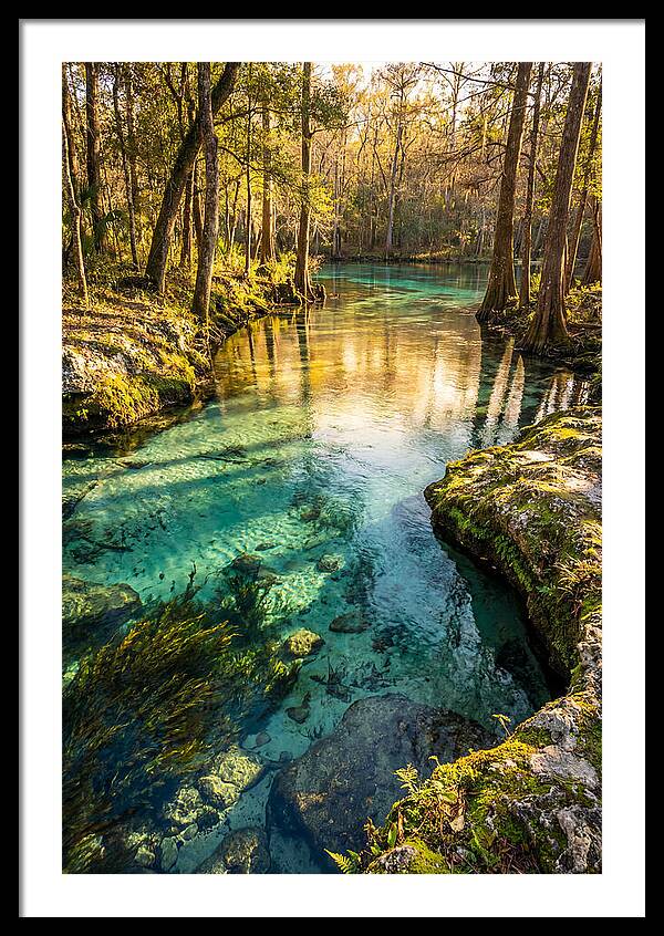 Ichetucknee Springs Serenity