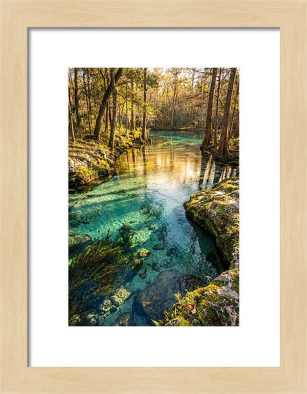 Ichetucknee Springs Serenity