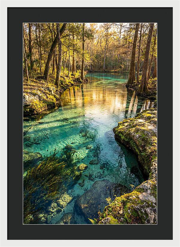 Ichetucknee Springs Serenity