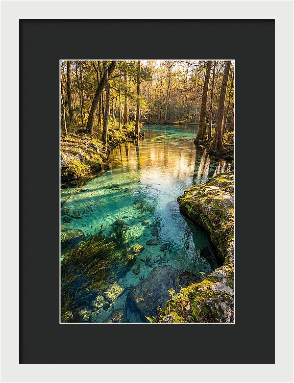 Ichetucknee Springs Serenity