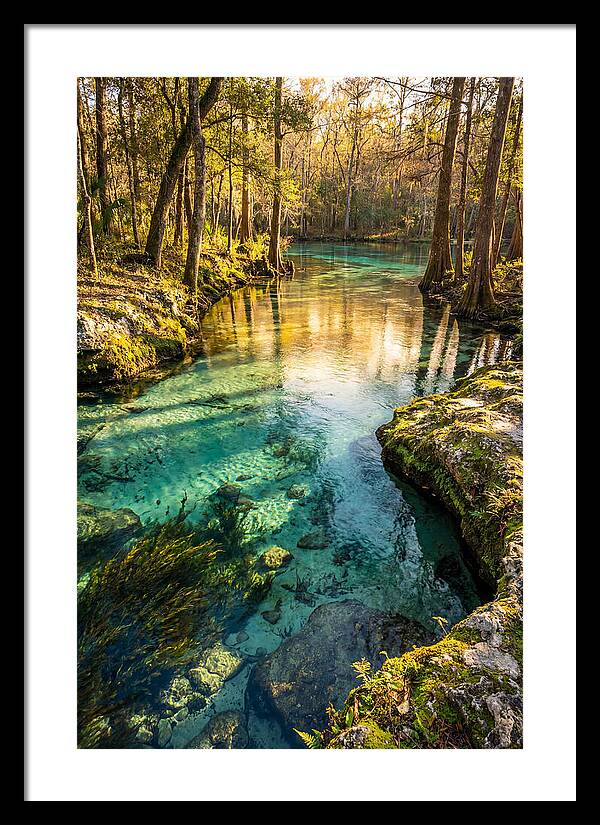 Ichetucknee Springs Serenity