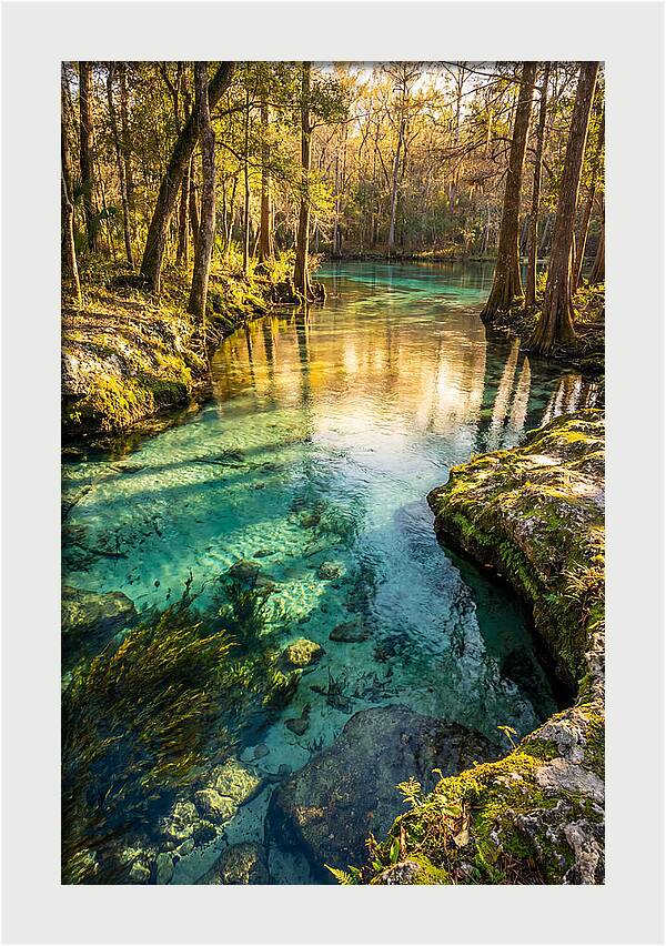 Ichetucknee Springs Serenity