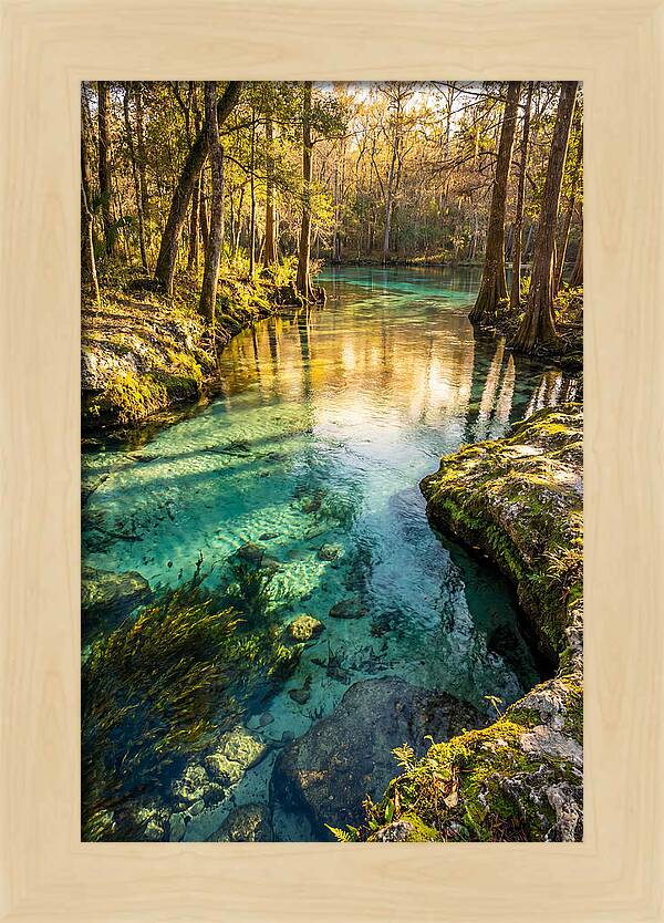 Ichetucknee Springs Serenity