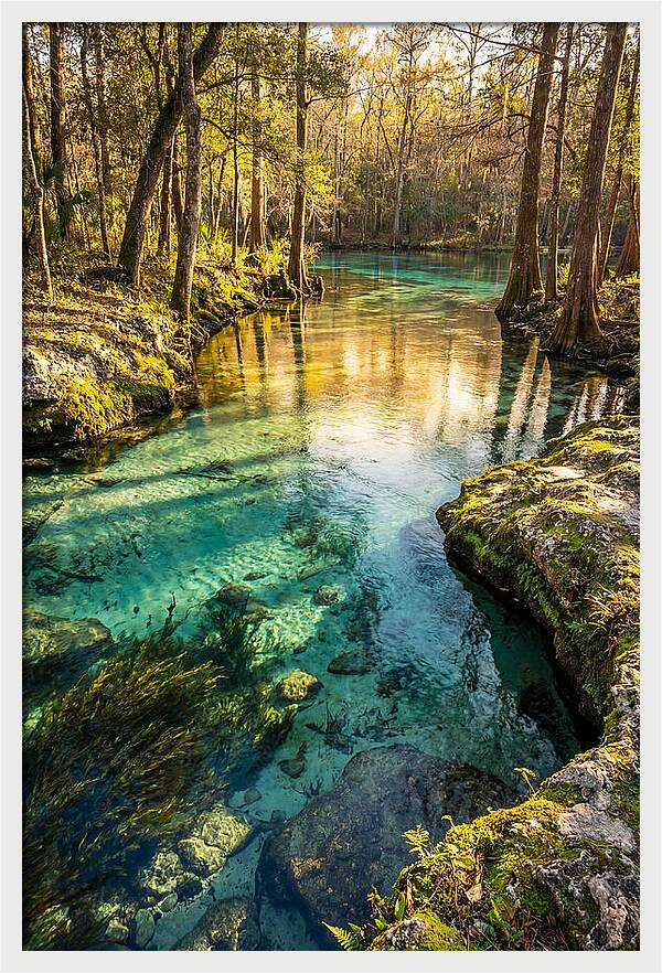 Ichetucknee Springs Serenity