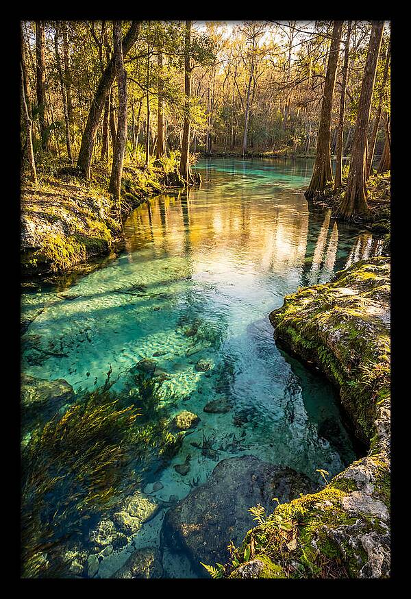 Ichetucknee Springs Serenity