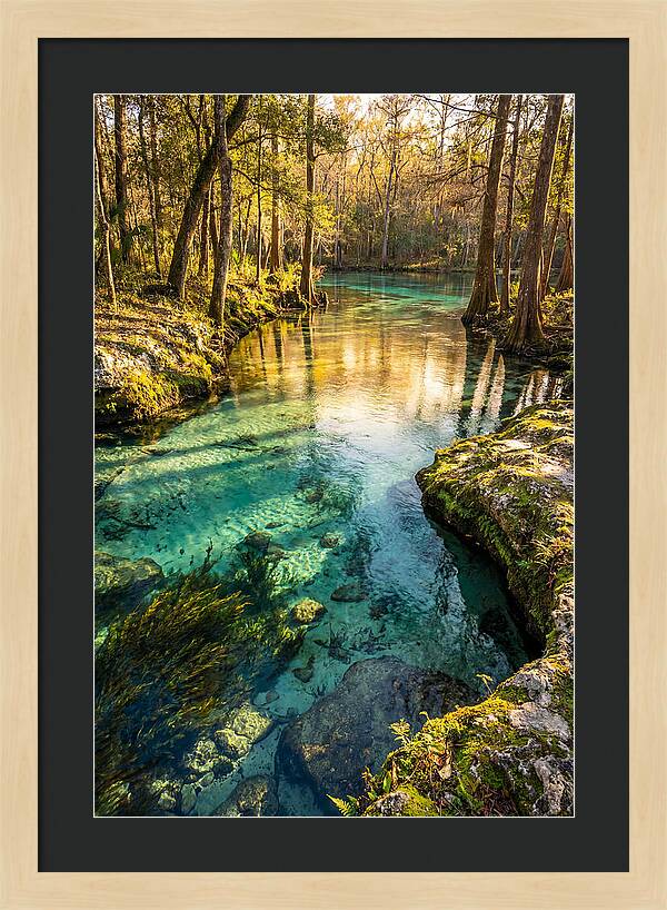 Ichetucknee Springs Serenity