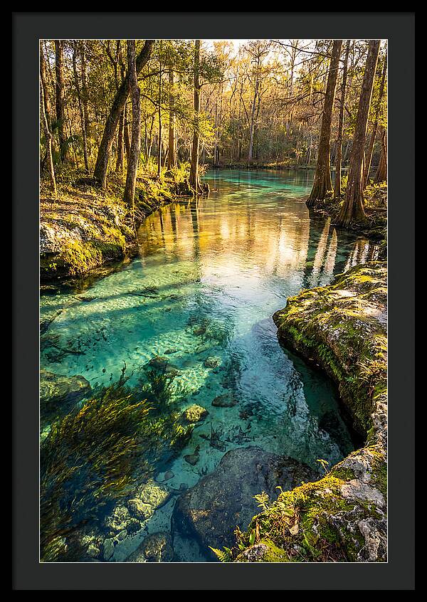 Ichetucknee Springs Serenity