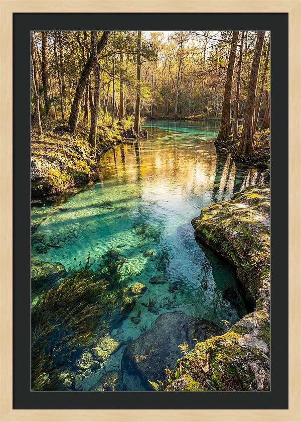 Ichetucknee Springs Serenity