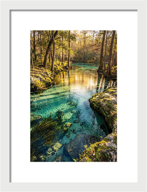 Ichetucknee Springs Serenity