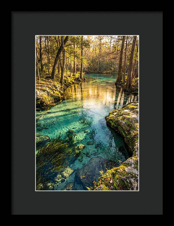 Ichetucknee Springs Serenity