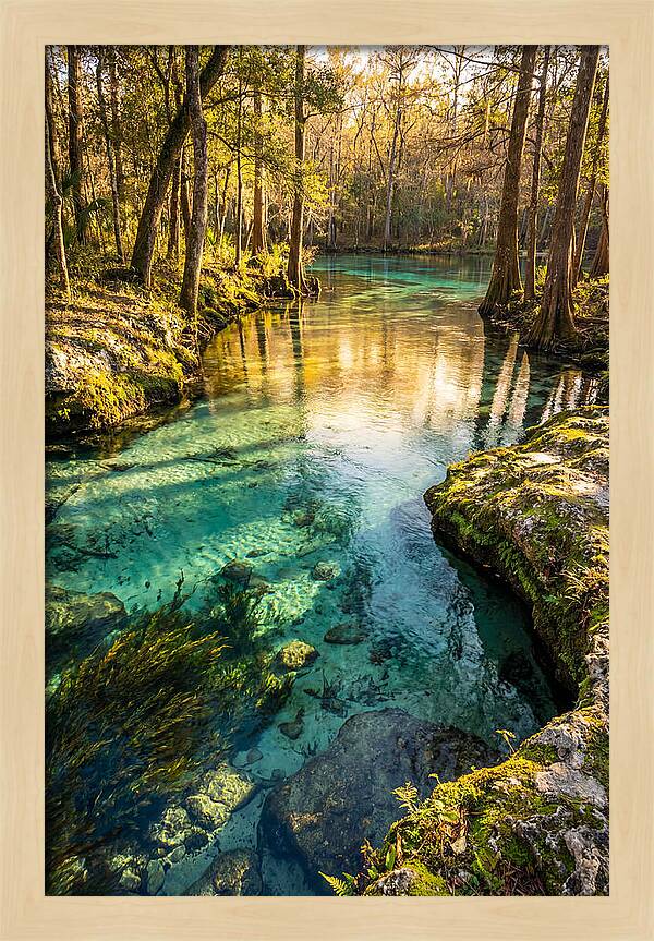 Ichetucknee Springs Serenity