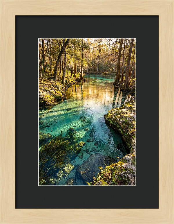 Ichetucknee Springs Serenity