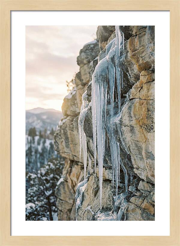 Icicles Hanging From Rocky Cliff