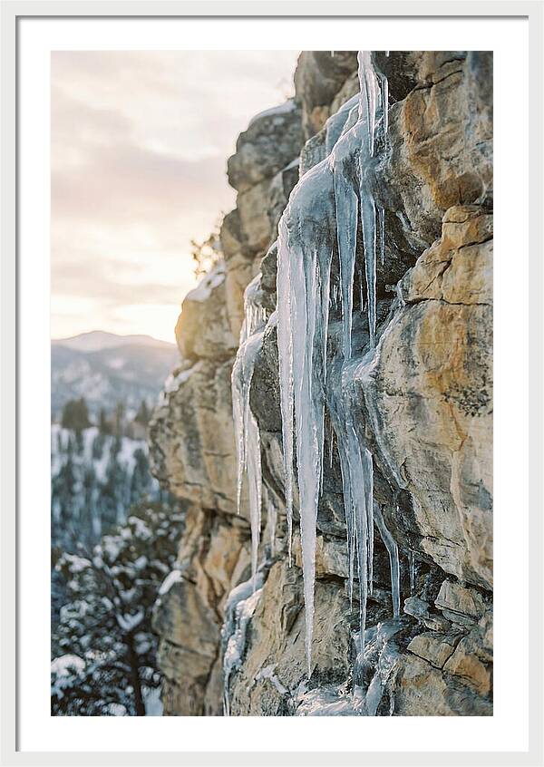 Icicles Hanging From Rocky Cliff