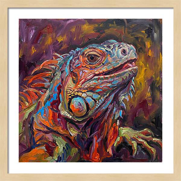 Iguana In Vibrant Colors