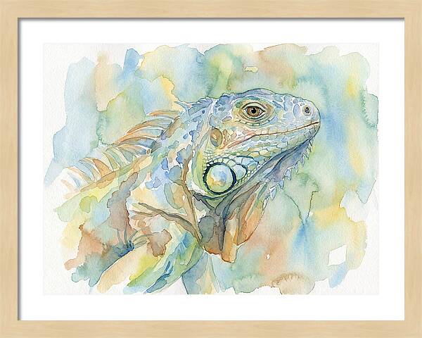 Iguana In Watercolor Hues