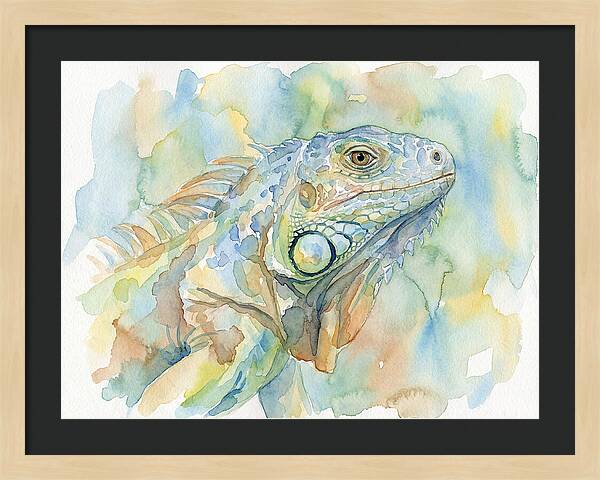 Iguana In Watercolor Hues