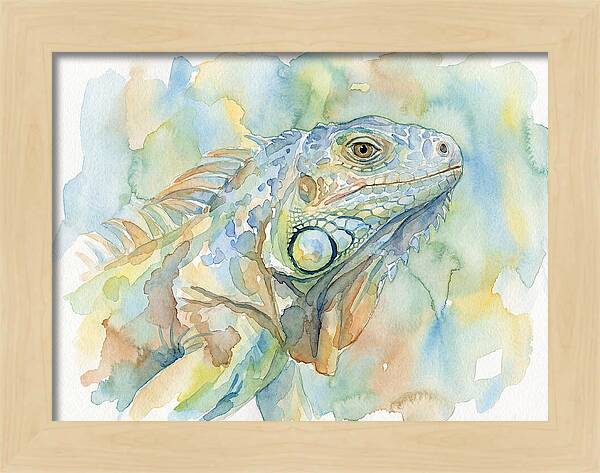 Iguana In Watercolor Hues